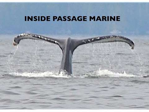 Inside Passage Marine Corporation www.insidepassagemarine.com