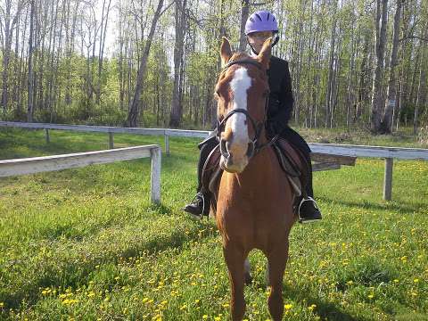 Northern Saddle Club